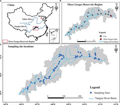 Distinguishing the mechanisms driving multifaceted plant diversity in subtropical reservoir riparian zones